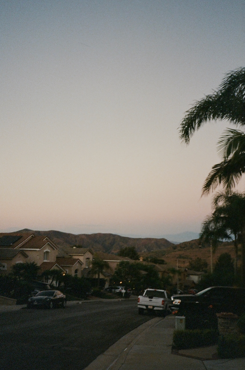 A sky with a gradient of colors from pink to blue, a palm tree, a house, and a street
