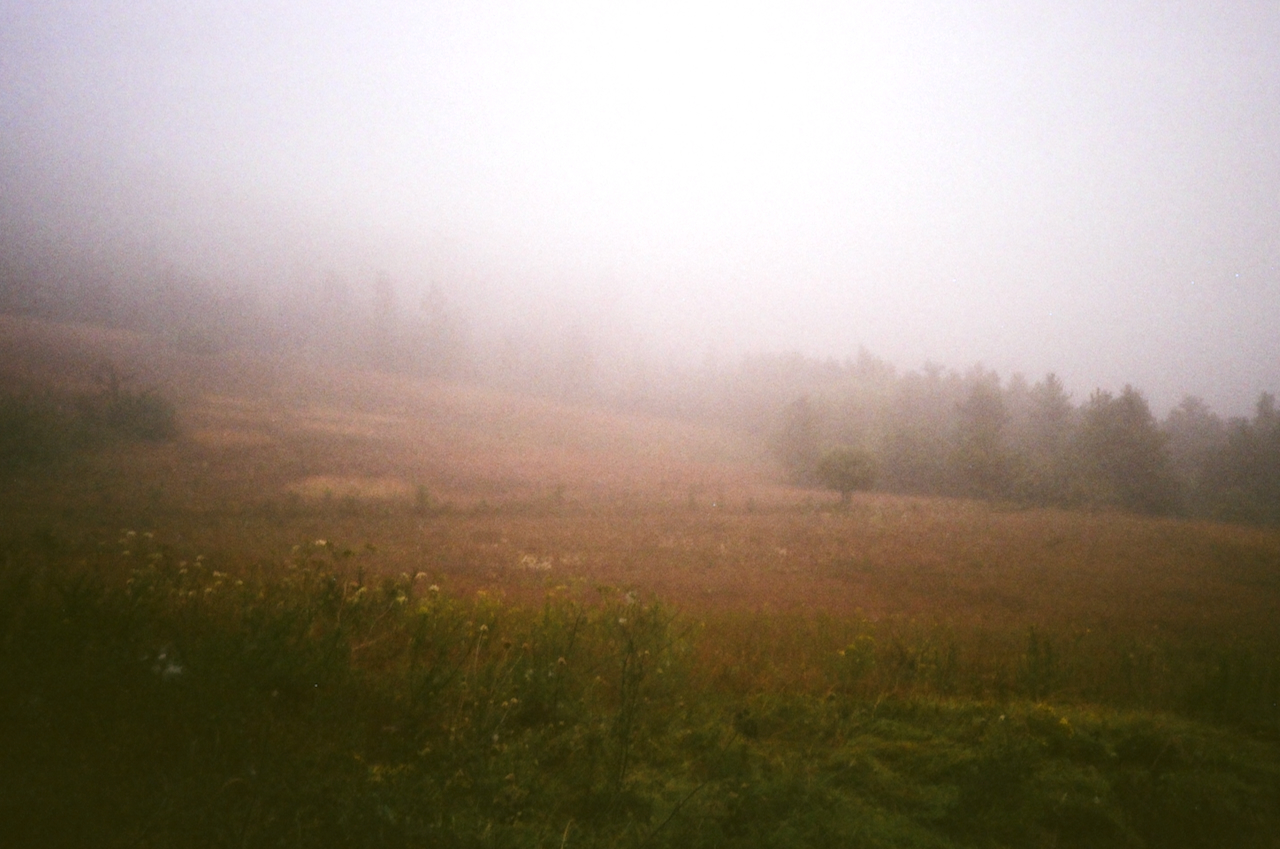 A foggy field with a hill in the background