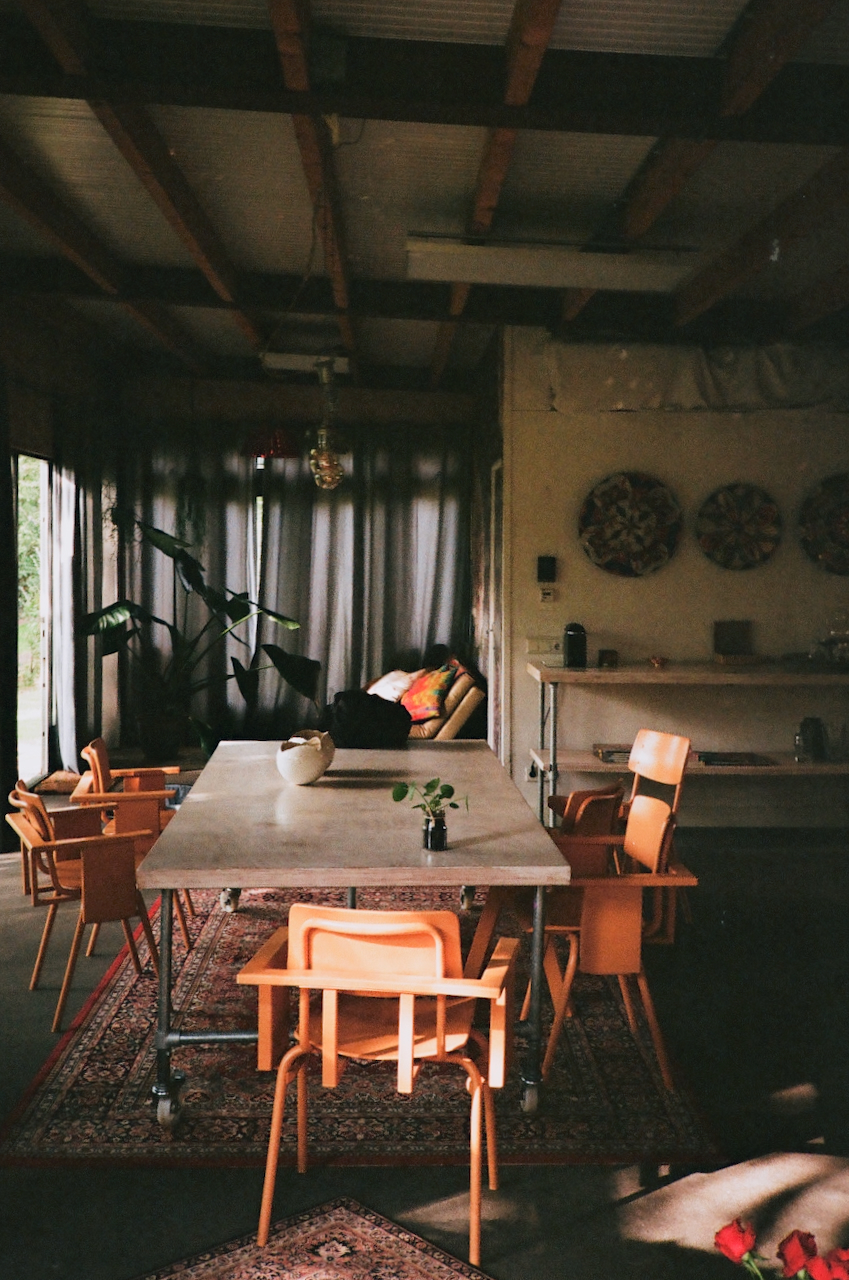 A spacious room with a dining table and chairs, a rug, and a potted plant