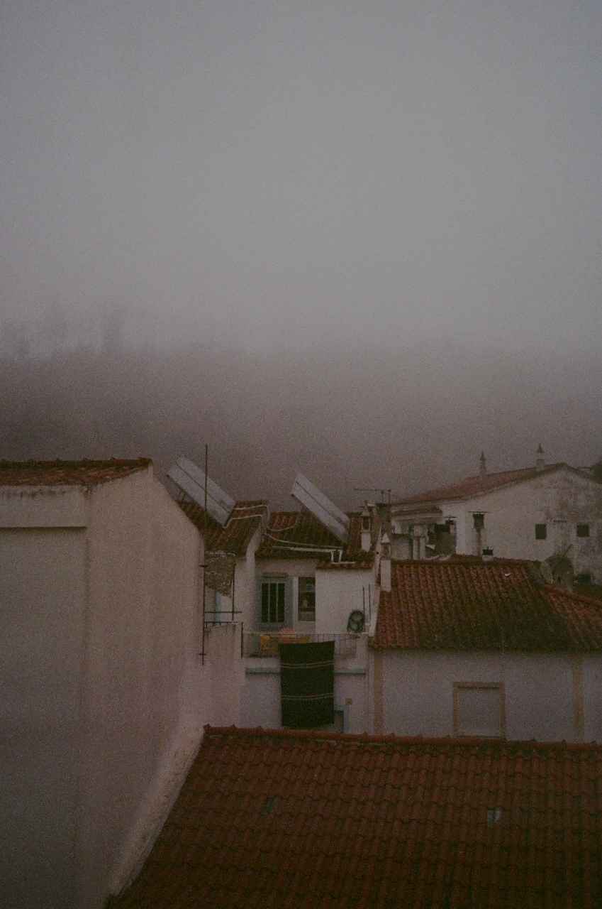 A foggy village scene with a gray sky
