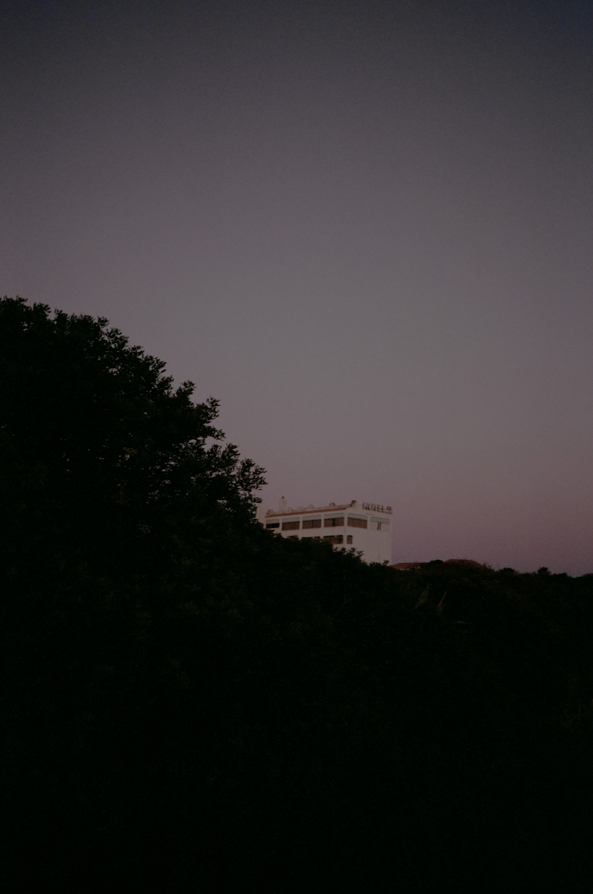 A nighttime scene with a dark sky, a faintly lit building, and a tree in the foreground