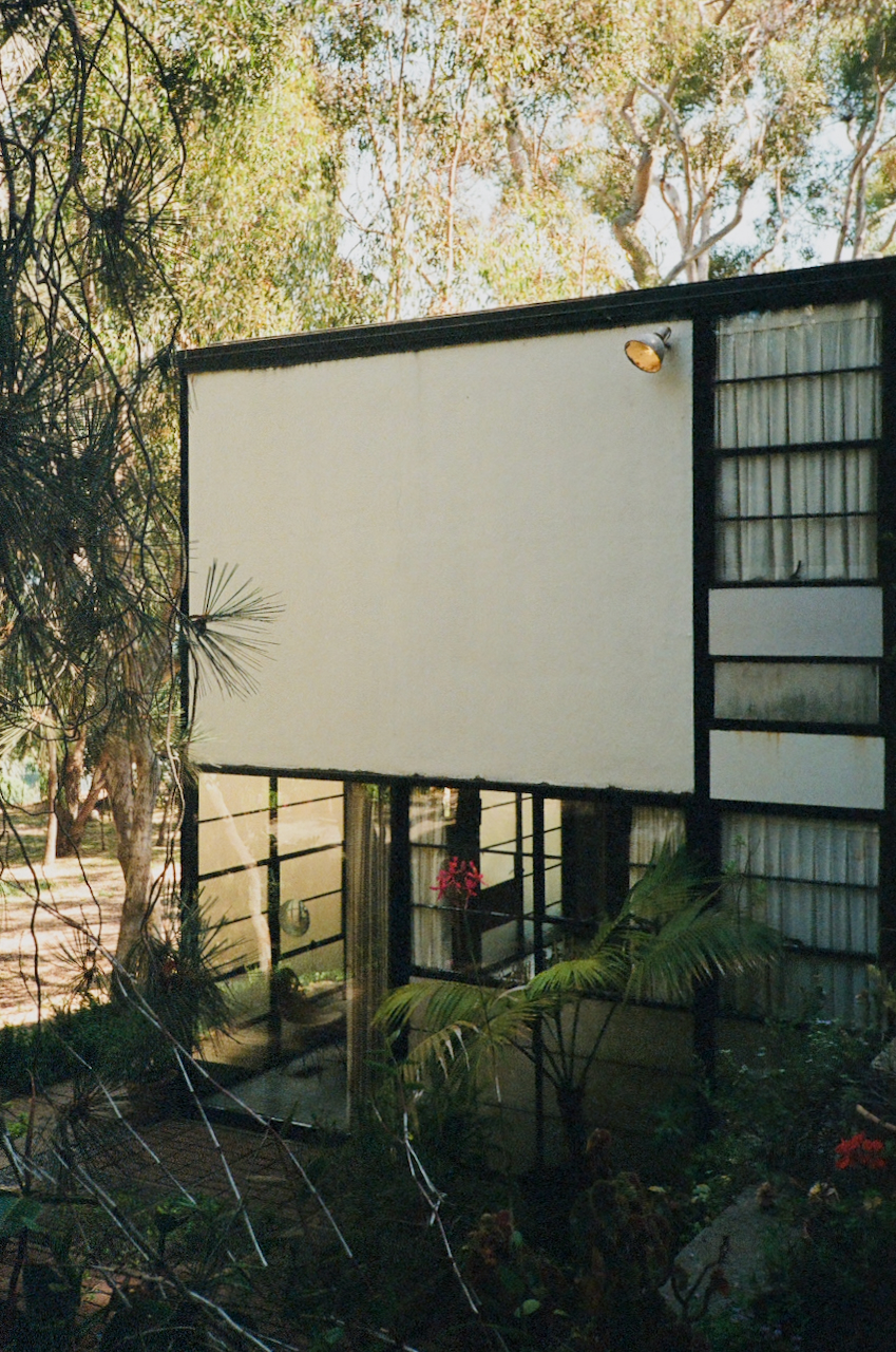 A modern house with a large glass wall, surrounded by lush greenery