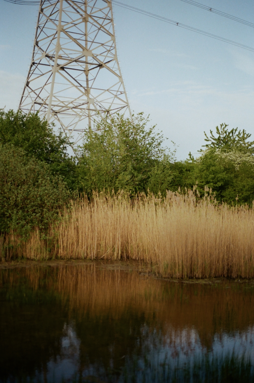 A tall power line tower stands in the middle of a field with tall grass and a body of water nearby