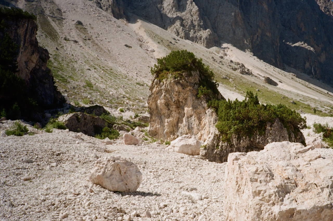 A mountainous landscape with rocky terrain, a few scattered trees, and a rocky outcrop in the foreground