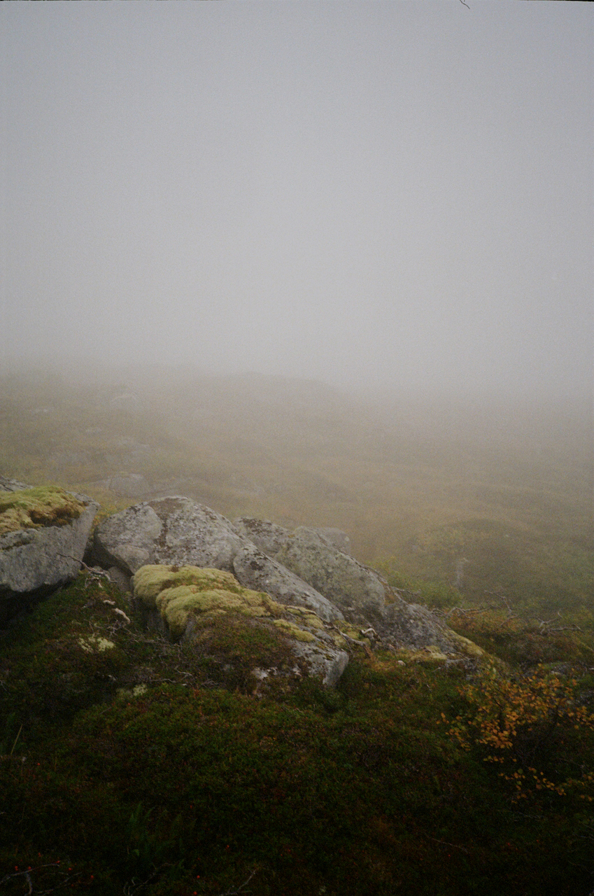 This is a foggy landscape with a rocky outcropping and a misty, overcast sky